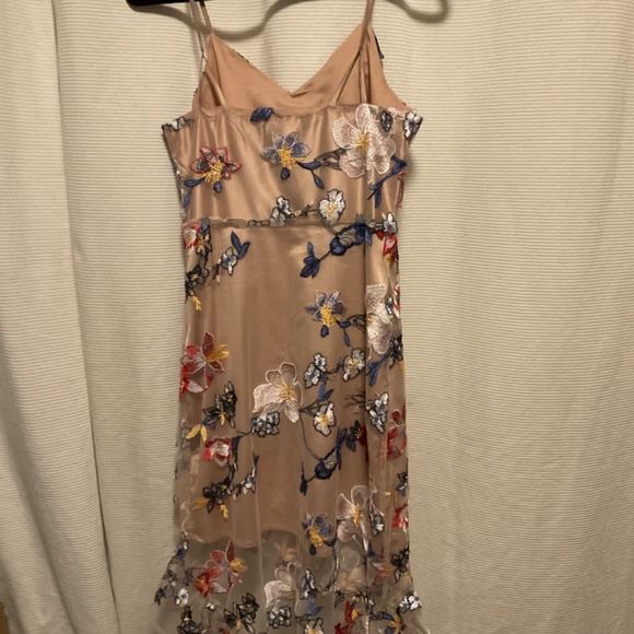 A.B.S Collection Pale Blush Floral Embroidered Midi Mesh Dress - Picture 6 of 6